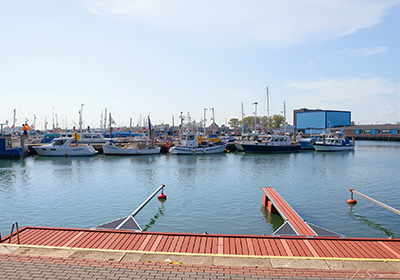Plaża